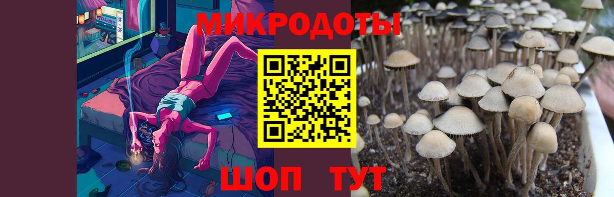 Дербент  Галлюциногенные грибы мухоморы  наркотики  Вход с VPN 